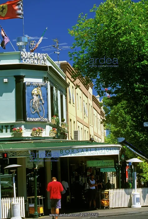 : Cafes, Lygon Street : Cafes, Lygon Street