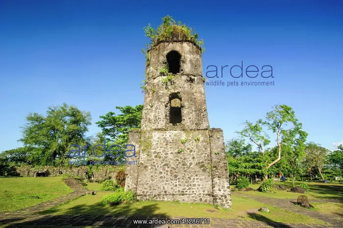 : Cagsawa Ruins before volcano Mayon, Legazpi, Southern : Cagsawa Ruins before volcano Mayon, Legazpi, Southern