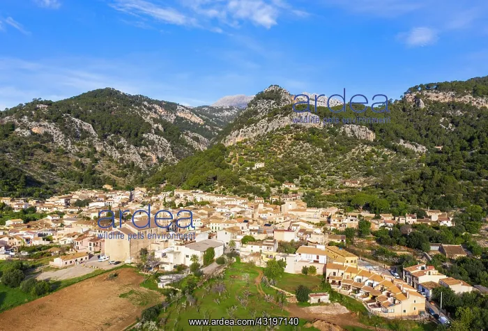 : Caimari, Raiguer region, Serra de Tramuntana, aerial : Caimari, Raiguer region, Serra de Tramuntana, aerial
