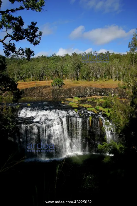 : Cairns, Australia. A waterfall outside of : Cairns, Australia. A waterfall outside of