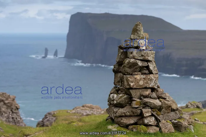 : Cairns, so-called guard, Tjnrnuvik or Tjcrnuvik : Cairns, so-called guard, Tjnrnuvik or Tjcrnuvik