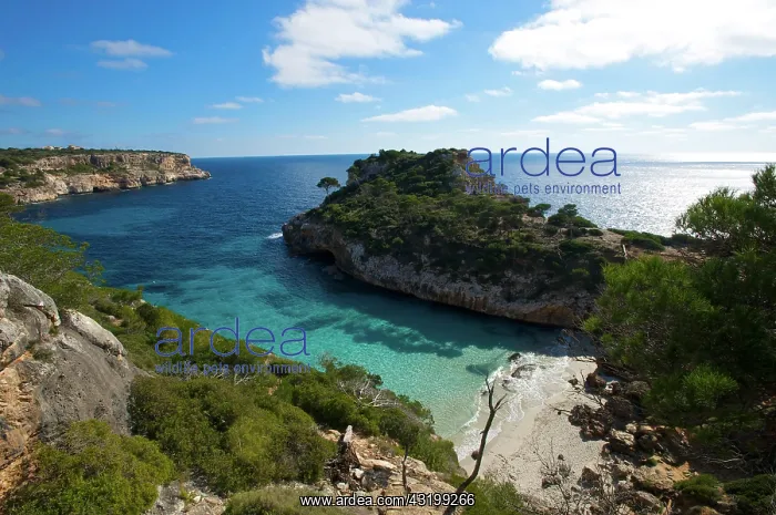  : Cala S'Amonia, Majorca, Balearic Islands, Spain