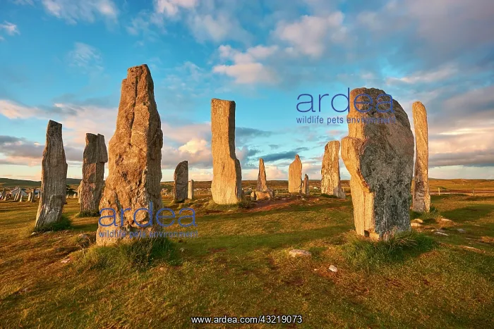 : Calanais Neolithic Standing Stones, Isle of Lewis : Calanais Neolithic Standing Stones, Isle of Lewis