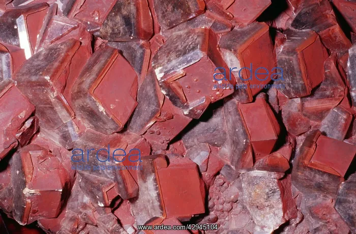  : CALCITE. Hunan, China