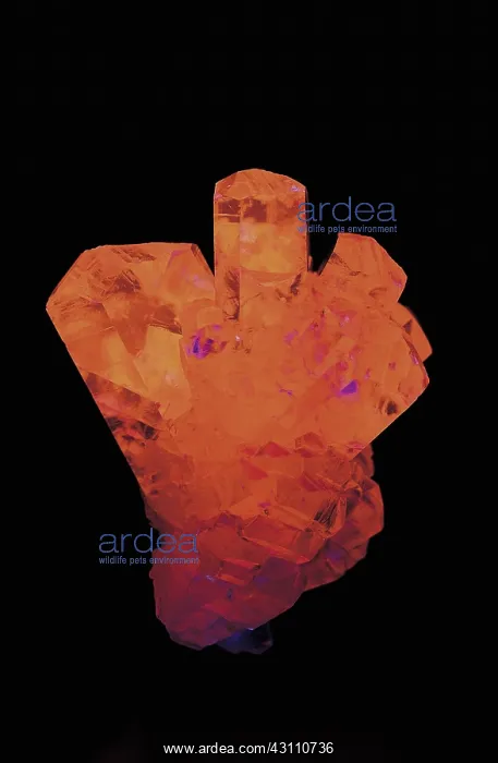 : Calcite, or calcspar, is a fluorescent mineral : Calcite, or calcspar, is a fluorescent mineral