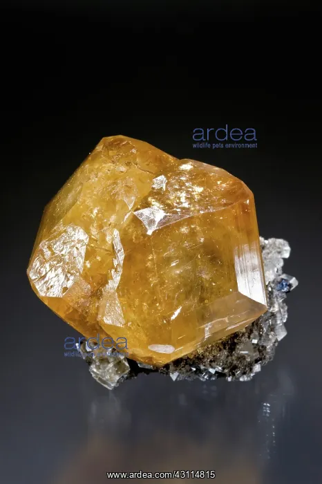 : Calcite is a carbonate mineral and the most stable polymorph of calcium carbonate (CaCO3) : Calcite is a carbonate mineral and the most stable polymorph of calcium carbonate (CaCO3)