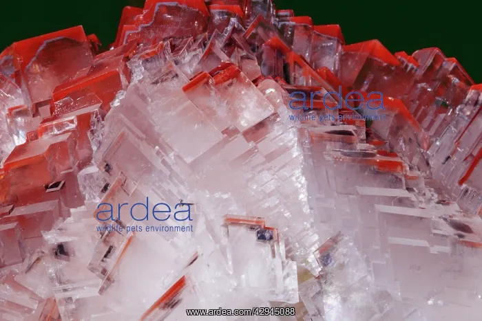 : CALCITE - (Ca Co3) : CALCITE - (Ca Co3)