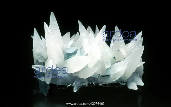 : Calcite Crystals : Calcite Crystals