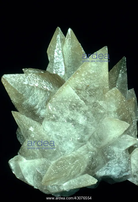 : Calcite Crystals : Calcite Crystals