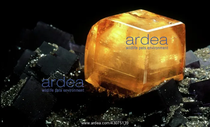 : Calcite on Fluorite : Calcite on Fluorite