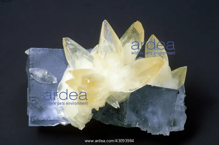 : Calcite and Fluorite : Calcite and Fluorite