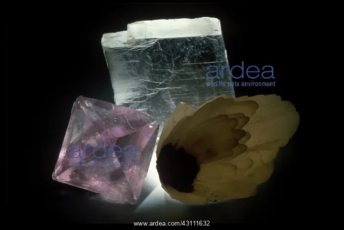 : Calcite and Fluorite : Calcite and Fluorite