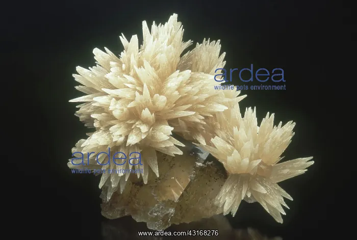 : Calcite on Fluorite : Calcite on Fluorite