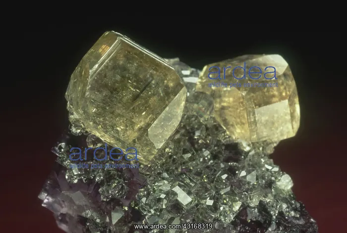 : Calcite on Fluorite : Calcite on Fluorite