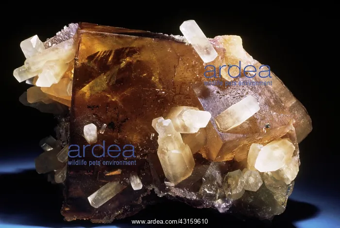 : Calcite on fluorite, from Illinois : Calcite on fluorite, from Illinois