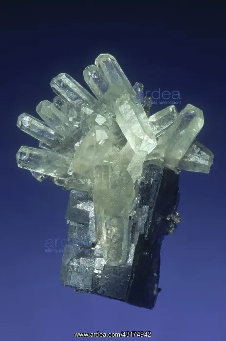 : Calcite on Galena : Calcite on Galena