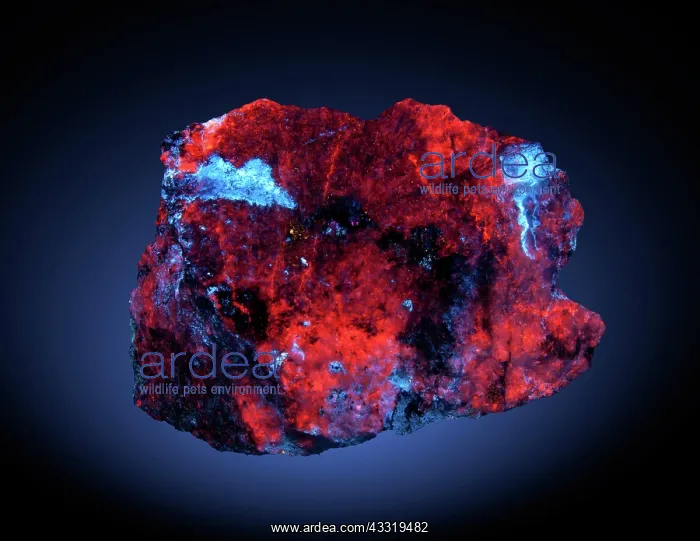 : Calcite and Hydrozincite (1 of 2) : Calcite and Hydrozincite (1 of 2)