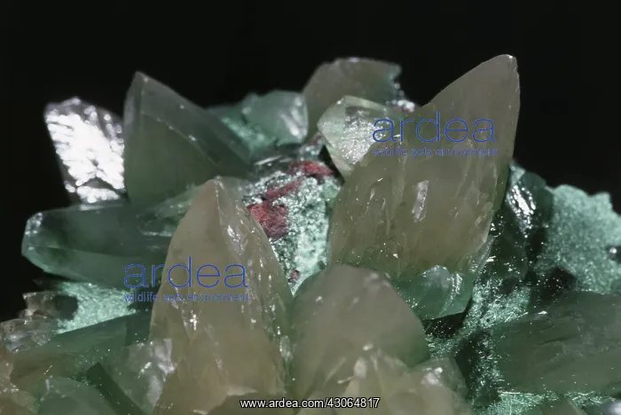 : Calcite and Malachite : Calcite and Malachite