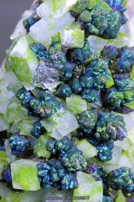 : Calcite with Mottramite : Calcite with Mottramite