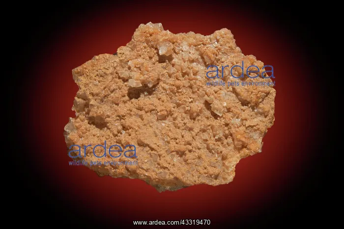 : Calcite Under Red UV Light : Calcite Under Red UV Light