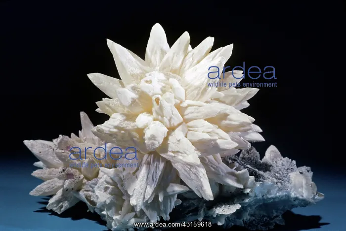 : Calcite from Rosiclare, Illinois : Calcite from Rosiclare, Illinois
