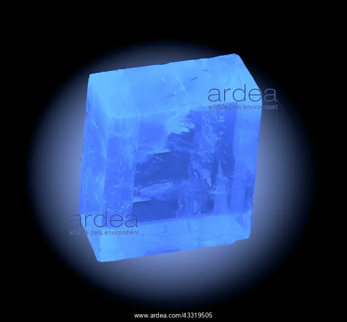 : Calcite Under UV Light (1 of 2) : Calcite Under UV Light (1 of 2)