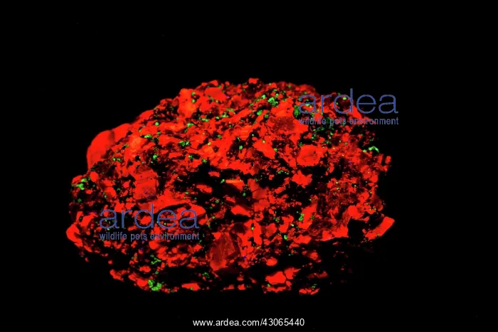 : Calcite in UV light : Calcite in UV light