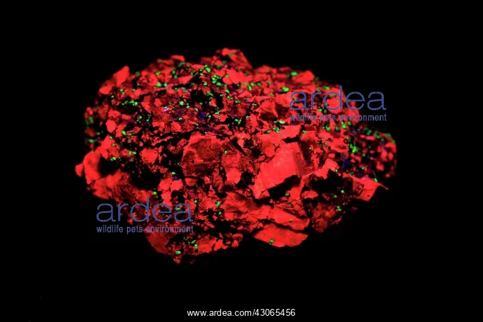  : Calcite in UV light
