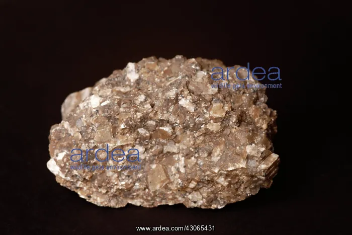 : Calcite under visible light : Calcite under visible light