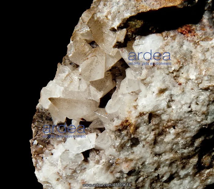  : Calcite Under White Light (2 of 2)