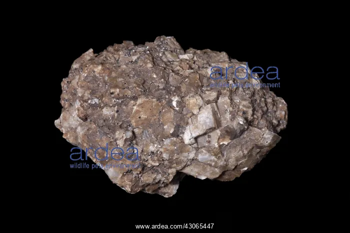 : Calcite in white light : Calcite in white light