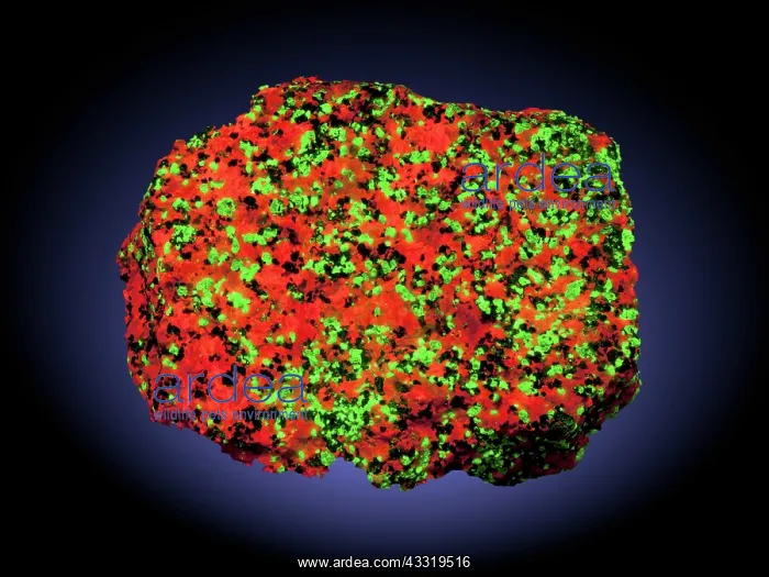 : Calcite, Willemite, and Franklinite (1 of 2) : Calcite, Willemite, and Franklinite (1 of 2)