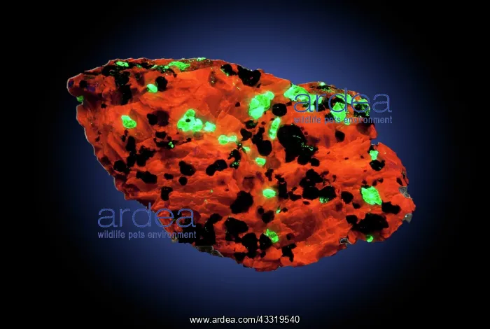 : Calcite, Willemite, and Franklinite (1 of 2) : Calcite, Willemite, and Franklinite (1 of 2)