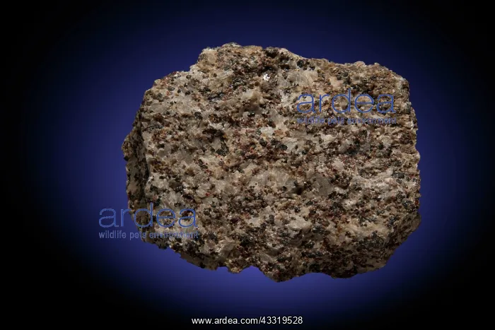 : Calcite, Willemite, and Franklinite (2 of 2) : Calcite, Willemite, and Franklinite (2 of 2)