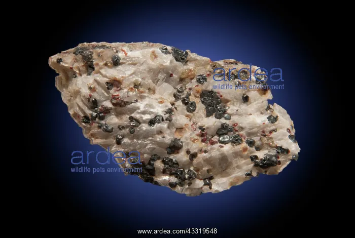 : Calcite, Willemite, and Franklinite (2 of 2) : Calcite, Willemite, and Franklinite (2 of 2)