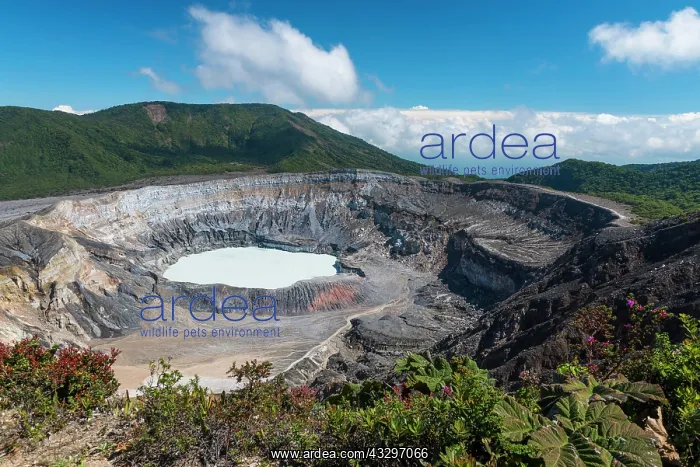 : Caldera with crater lake, Poas Volcano, National : Caldera with crater lake, Poas Volcano, National