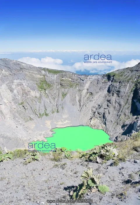 : Caldera with green crater lake, Irazu volcano, Irazu : Caldera with green crater lake, Irazu volcano, Irazu