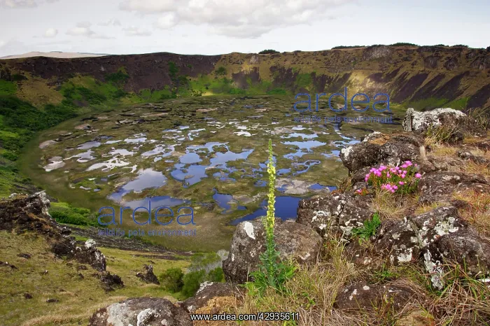 : Caldera of Rano Kau volcano, 1.6 km across with : Caldera of Rano Kau volcano, 1.6 km across with