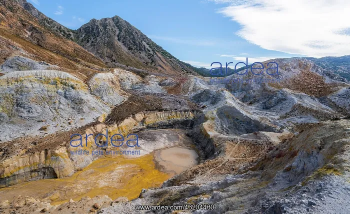  : Caldera volcano with pumice fields, yellow coloured
