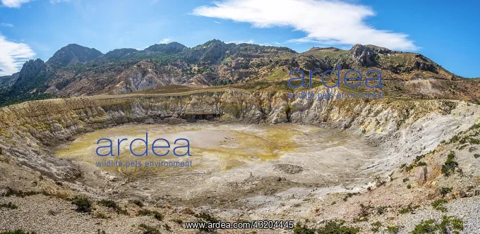 : Caldera volcano with pumice fields, yellow coloured : Caldera volcano with pumice fields, yellow coloured