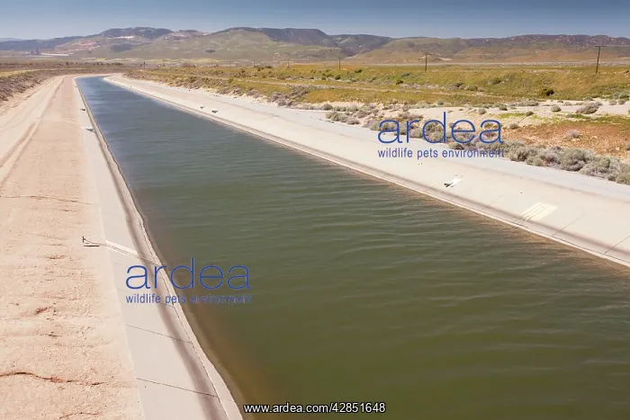 : California Aqueduct irrigation canal in Antelope Valley : California Aqueduct irrigation canal in Antelope Valley