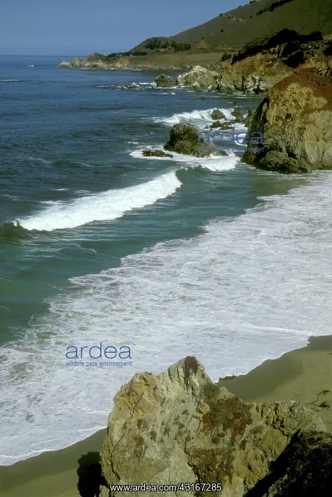 : California Coast : California Coast