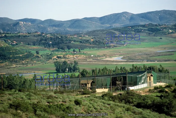 : California Condors rearing complex : California Condors rearing complex