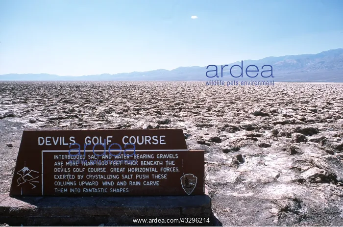  : California, USA - Devil's golf course, Death Valley