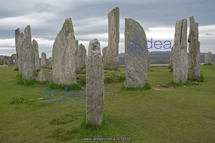 : Callanish Stone Circle : Callanish Stone Circle