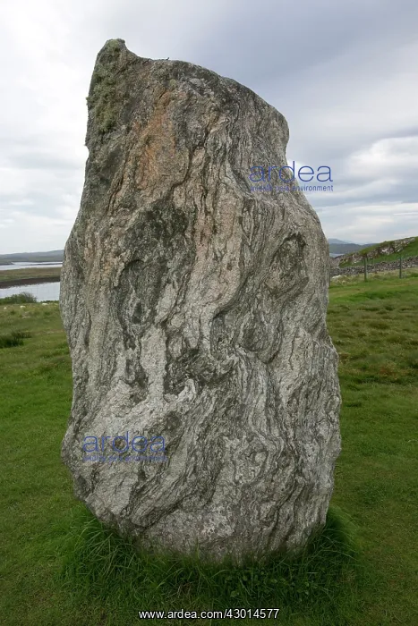 : Callanish Stone Circle : Callanish Stone Circle