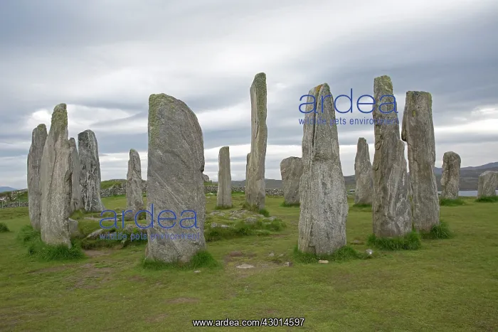: Callanish Stone Circle : Callanish Stone Circle