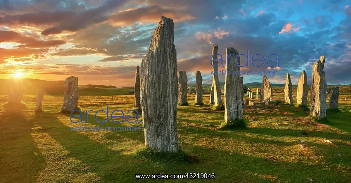 : Callanish Stones, Tursachan Chalanais, neolithic : Callanish Stones, Tursachan Chalanais, neolithic