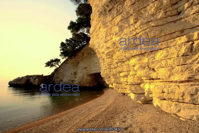 : Calm bay - with chalk cliffs and gravel beach : Calm bay - with chalk cliffs and gravel beach