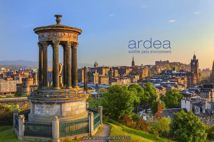 : Calton Hill - panoramic view from Calton Hill encompassing : Calton Hill - panoramic view from Calton Hill encompassing